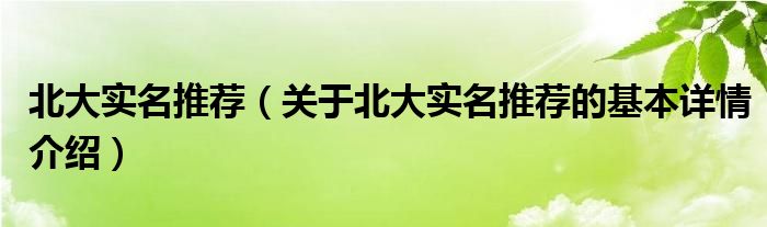 北大实名推荐（关于北大实名推荐的基本详情介绍）