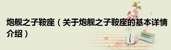 炮舰之子鞍座（关于炮舰之子鞍座的基本详情介绍）