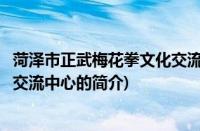 菏泽市正武梅花拳文化交流中心(关于菏泽市正武梅花拳文化交流中心的简介)