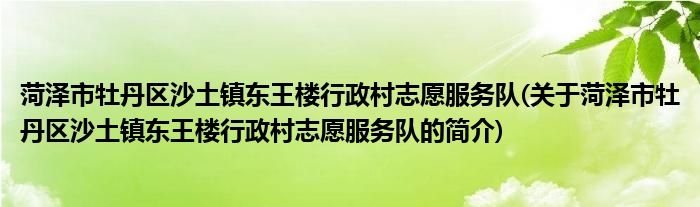 菏泽市牡丹区沙土镇东王楼行政村志愿服务队(关于菏泽市牡丹区沙土镇东王楼行政村志愿服务队的简介)