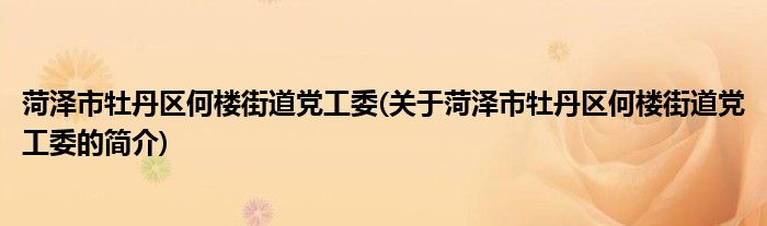 菏泽市牡丹区何楼街道党工委(关于菏泽市牡丹区何楼街道党工委的简介)