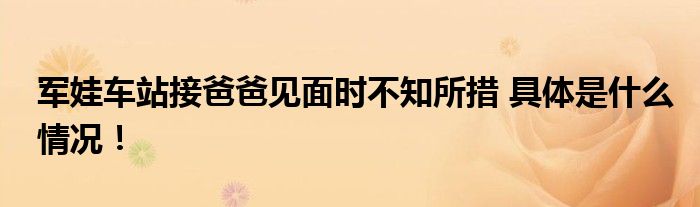 军娃车站接爸爸见面时不知所措 具体是什么情况！