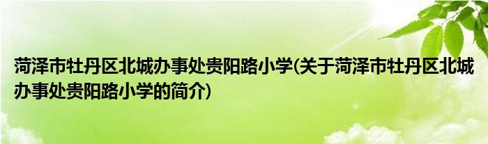 菏泽市牡丹区北城办事处贵阳路小学(关于菏泽市牡丹区北城办事处贵阳路小学的简介)