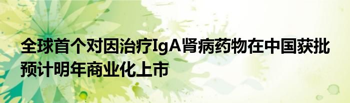 全球首个对因治疗IgA肾病药物在中国获批 预计明年商业化上市