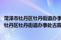 菏泽市牡丹区牡丹街道办事处古园志愿者服务队(关于菏泽市牡丹区牡丹街道办事处古园志愿者服务队的简介)