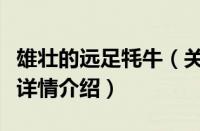 雄壮的远足牦牛（关于雄壮的远足牦牛的基本详情介绍）