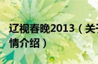 辽视春晚2013（关于辽视春晚2013的基本详情介绍）