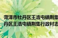 菏泽市牡丹区王浩屯镇荆集行政村志愿服务队(关于菏泽市牡丹区王浩屯镇荆集行政村志愿服务队的简介)