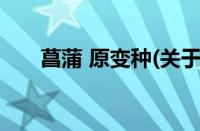 菖蒲 原变种(关于菖蒲 原变种的简介)