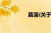 菖蒲(关于菖蒲的简介)