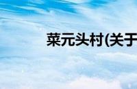 菜元头村(关于菜元头村的简介)