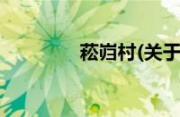 菘岿村(关于菘岿村的简介)
