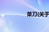 菜刀(关于菜刀的简介)