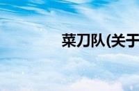 菜刀队(关于菜刀队的简介)