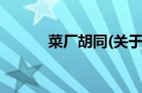 菜厂胡同(关于菜厂胡同的简介)