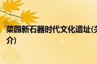 菜园新石器时代文化遗址(关于菜园新石器时代文化遗址的简介)