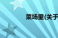 菜场里(关于菜场里的简介)
