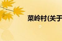 菜岭村(关于菜岭村的简介)