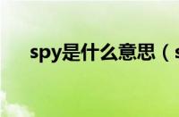 spy是什么意思（spy是什么意思英语）