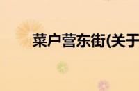 菜户营东街(关于菜户营东街的简介)
