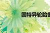 固特异轮胎御乘和逸乘区别