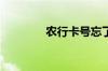 农行卡号忘了怎么查询卡号