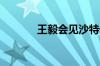 王毅会见沙特外交大臣费萨尔