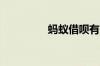 蚂蚁借呗有三天宽限期吗