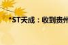 *ST天成：收到贵州证监局警示函等函件