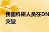 我国科研人员在DNA转座子研究领域取得新突破