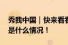 秀我中国｜快来看看什么是缅茄篆刻！ 具体是什么情况！