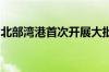 北部湾港首次开展大批量储能柜整船出口业务