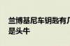 兰博基尼车钥匙有几种 兰博基尼车标为什么是头牛