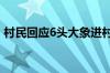 村民回应6头大象进村觅食 具体是什么情况！