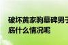 破坏黄家驹墓碑男子将被判刑两被告认罪 到底什么情况呢