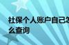 社保个人账户自己怎么查询 社保个人账户怎么查询