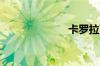 卡罗拉离地间隙