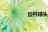 拉杆球头是什么意思