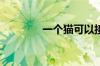 一个猫可以接两个路由器吗
