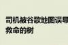 司机被谷歌地图误导冲进洪水中！还好有一颗救命的树