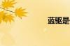 蓝驱是什么意思
