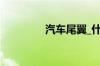 汽车尾翼_什么是汽车尾翼