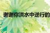 谢谢你洪水中逆行的身影 具体是什么情况！