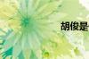 胡俊是什么意思