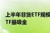 上半年非货ETF规模增长4355.48亿元 宽基ETF最吸金