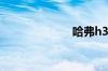 哈弗h3油耗多少