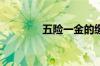 五险一金的缴纳基数是什么
