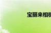 宝丽来相机是什么相机