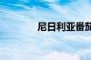 尼日利亚番茄价格暴涨20倍