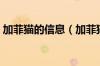 加菲猫的信息（加菲猫信用卡是什么银行的）